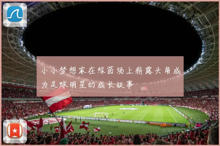 小小梦想家在绿茵场上崭露头角成为足球明星的成长故事