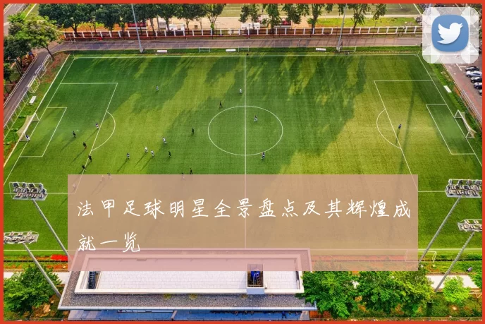法甲足球明星全景盘点及其辉煌成就一览