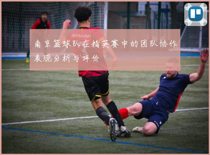 南京篮球队在精英赛中的团队协作表现分析与评价